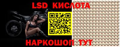 сатива Кингисепп