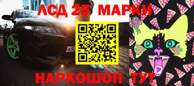 стаф Кинель