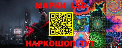 сатива Кингисепп