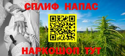 сатива Кингисепп