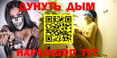 сатива Кингисепп