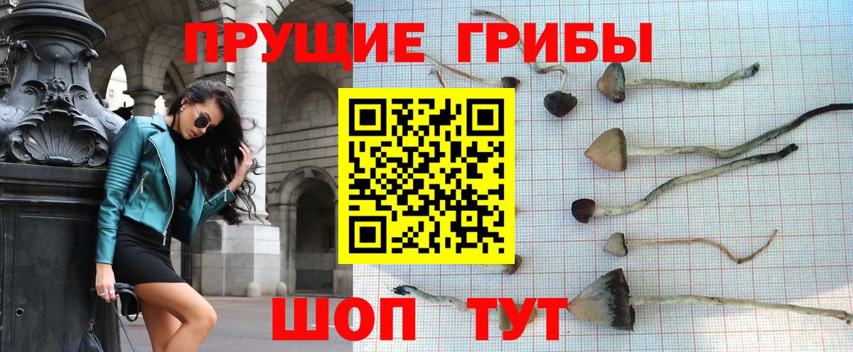 Галлюциногенные грибы ЛСД  Вход с VPN  Псилоцибиновые грибы GOLDEN TEACHER  Красноперекопск 